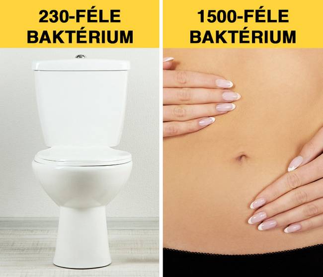 Baktérium a köldökben