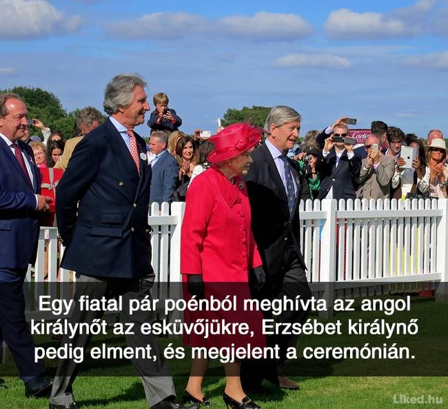 20+ örömteli tény, ami után teljesen más szemmel nézel majd a világra