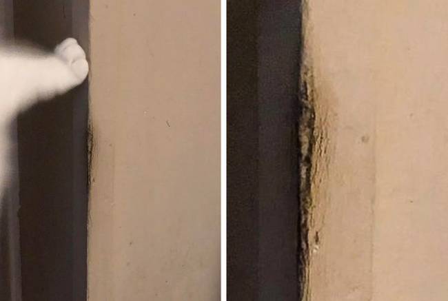 „Négy macskám több mint három éve dörzsöli a fejét a fal ezen sarkához."