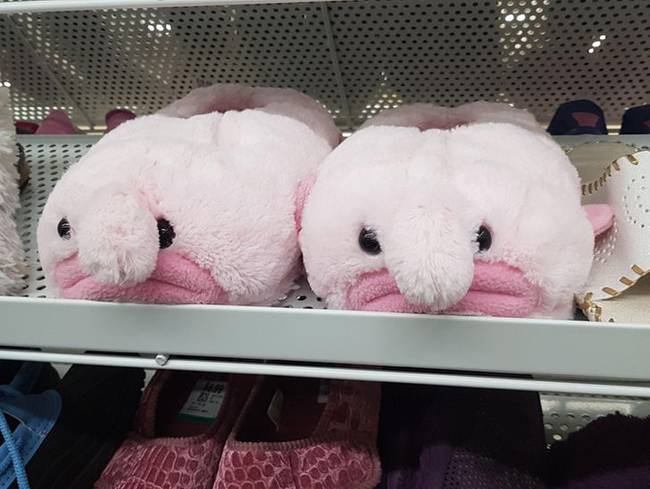 Bluggyhal alakú házipapucs. *javítva