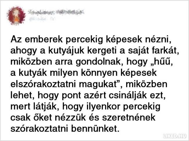 21 furcsa, de zseniális gondolat, ami a zuhany alatt jutott az emberek eszébe