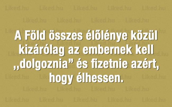 20+ érdekes tény a nagyvilágból, amit legvadabb álmainkban sem gondoltunk volna