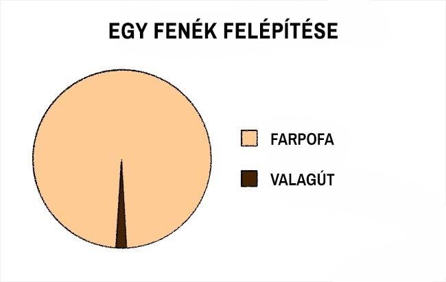 17 félelmetesen pontos diagram, amibe egyszerűen nem lehet belekötni