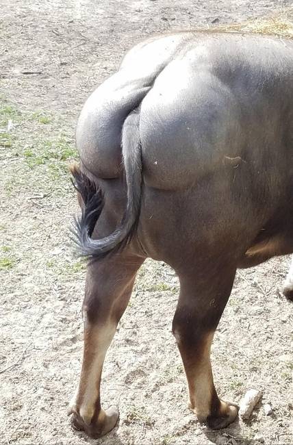 „Körülbelül 200 fényképet készítettem a szafari túra alatt, a férjem csak egyet. Ezt...”