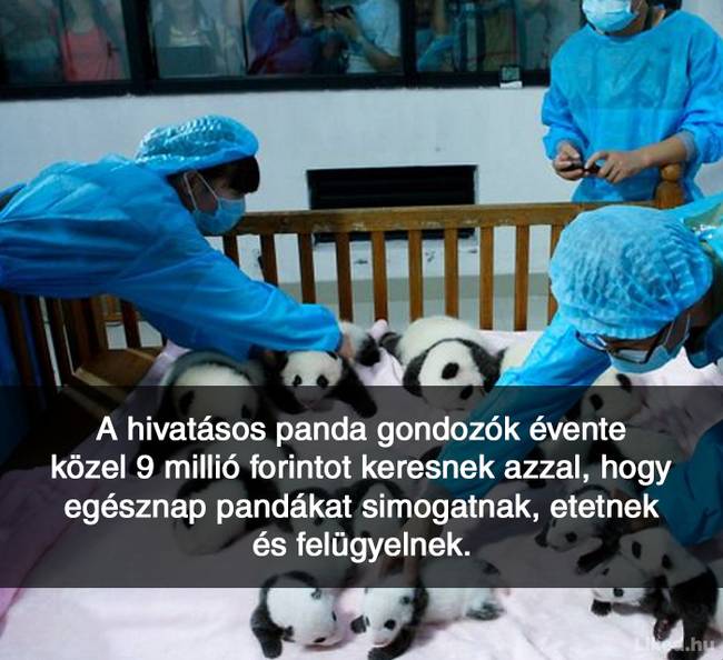 20+ örömteli tény, ami után teljesen más szemmel nézel majd a világra