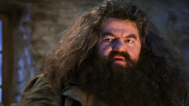 Rubeus Hagrid