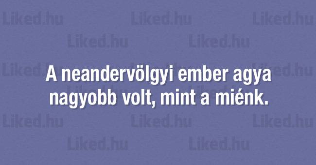 21 furcsa és szokatlan tény a világunkról, amitől garantáltan le fog esni az állad
