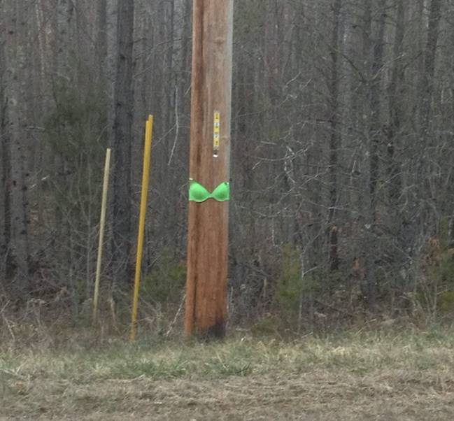 Csak egy szexi melltartós kép, nyugodtan görgess tovább.