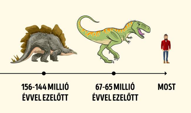 A Tyrannosaurus rex közelebb élt hozzánk, mint a Sztegoszauruszokhoz.