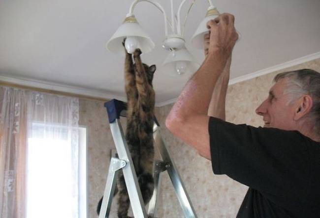A segítség olykor attól érkezik, akitől a legkevésbé várnánk.