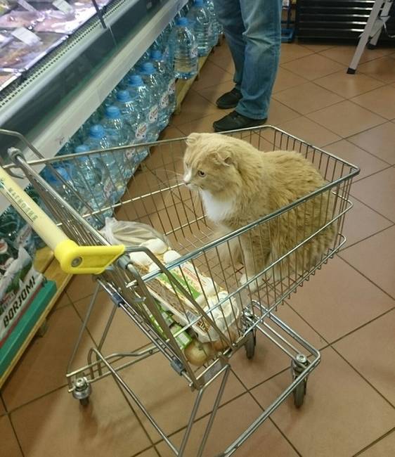 20+ történet, ami bizonyítja, hogy a bolti dolgozók élete csupa meglepetés