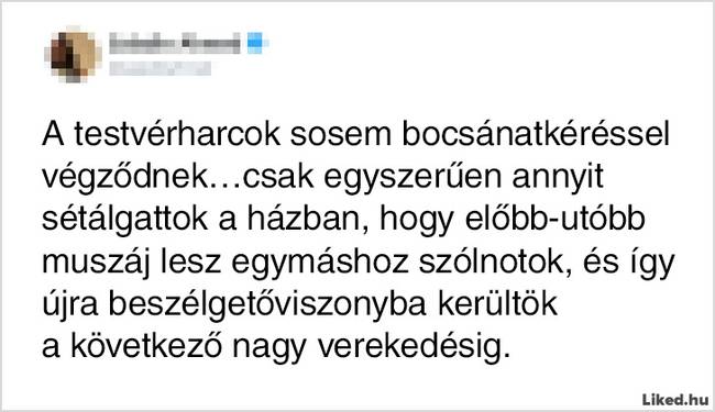 17 élethelyzet, ami jól mutatja, hogy milyen kiszámíthatatlan is a testvérek élete