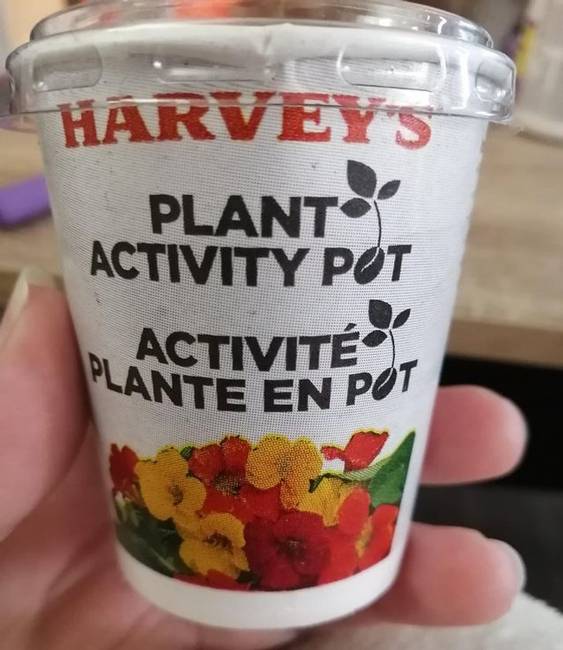 A kanadai Harvey's gyorsétteremlánc elültethet növényeket ad játék helyett a gyerekmenük mellé.