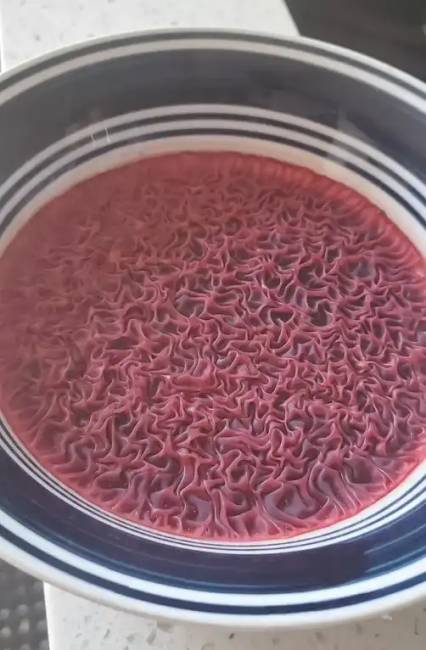 Időre elfelejtett dolgok 011
