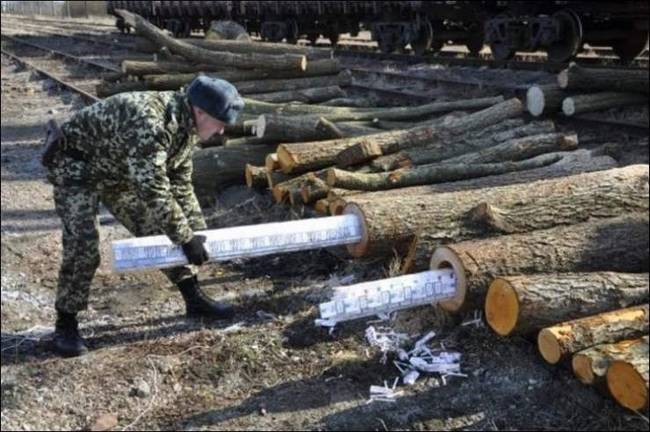 18 rendőrségi fotó, a cigarettacsempészek merészebbnél-merészebb módszereiről