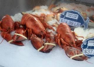lobster