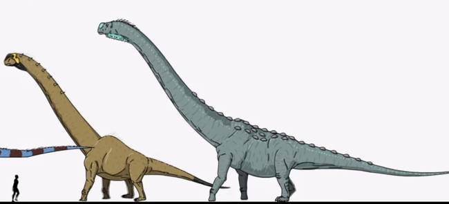 A Sauroposeidon-ok és az Argentinosaurus-ok a legnagyobb dinoszauruszok voltak. Az Argentinosaurus-ok mérete a 35 métert is elérhette, a súlyuk pedig akár a 100.000 kilogrammot is!