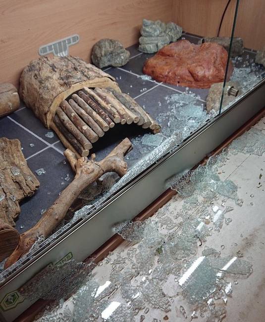„A terráriumom hirtelen felrobbant egy zivatar idején.''
