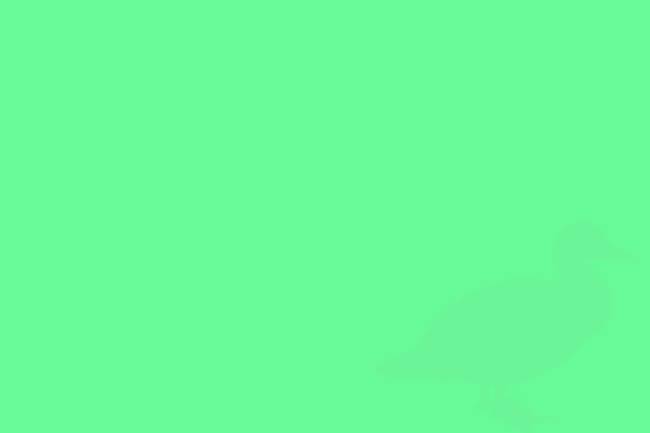 qvtx6bysjmn3w02sy8re