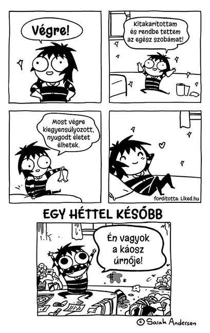 14 humoros képregény a független és felelősségteljes felnőtt életről