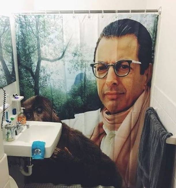 „Ma reggel nagyon megijedtem, amikor észrevettem, hogy Jeff Goldblum bámul engem fogmosás közben."