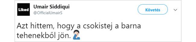 Az emberek megosztották, hogy mi volt a legnagyobb hülyeség, amit valaha csináltak