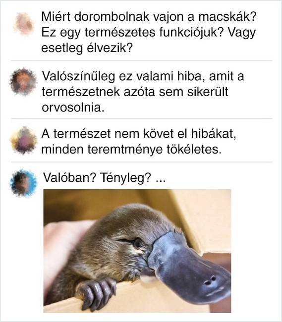18 ember, aki nem mindig képes visszafogni az éles nyelvét