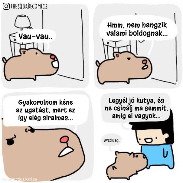 20 képregény, ami megmutatja, hogy milyen lenne a világ, ha a környezetünk beszélni tudna