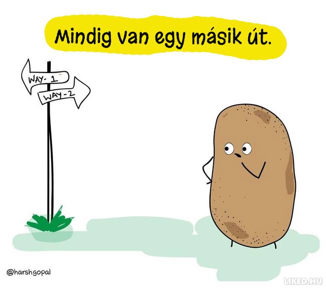 20 újabb bölcs gondolat egy krumplitól, ami Téged is gondolkodóba ejt