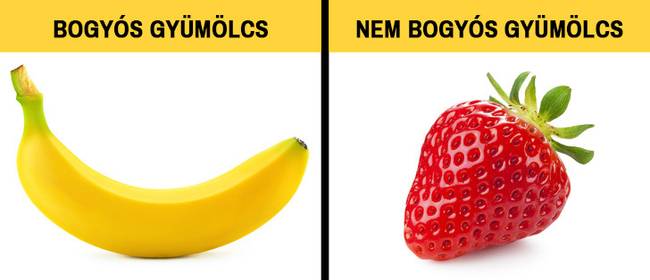 A banán valójában bogyós gyümölcs, míg például az eper nem az.