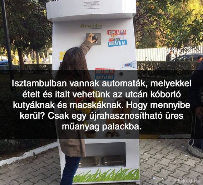 20+ örömteli tény, ami után teljesen más szemmel nézel majd a világra