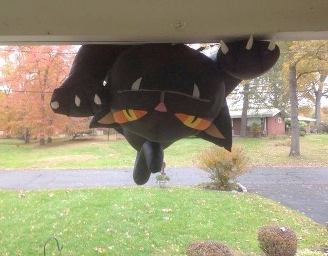 „Elfújta a szél a szomszédom halloweeni dekorációját, amikor felnyitottam a garázst ez a látvány fogadott."