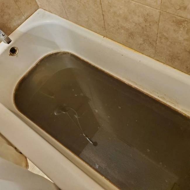 „Az előző tulajdonosok régóta nem laktak a házban, mielőtt eladták. Most, hogy beköltöztünk, ezzel kell megküzdenünk."