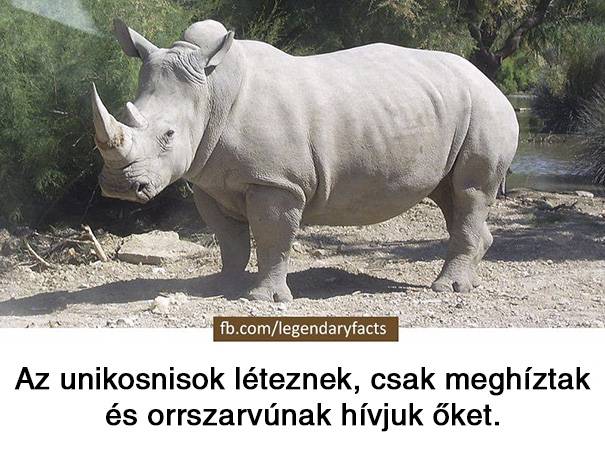 20 vicces tény a világról, melyek akár igazak is lehetnének