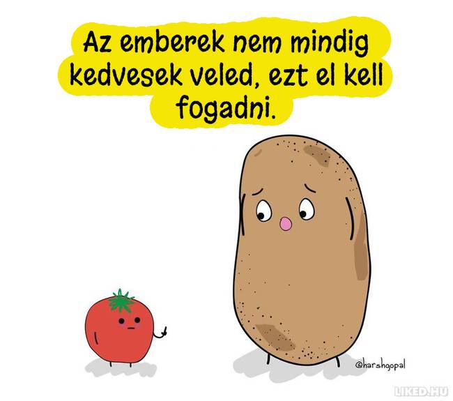 20 újabb bölcs gondolat egy krumplitól, ami Téged is gondolkodóba ejt