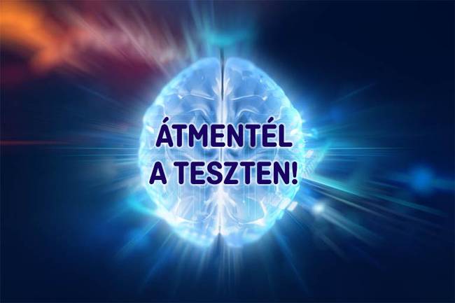 Kvizteszt