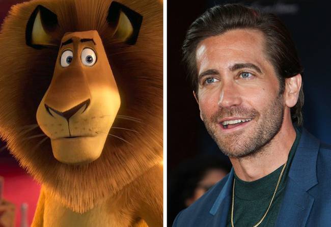 „Csak egyszer mondom el: Jake Gyllenhaal kiköpött oroszlán a Madagaszkárból."