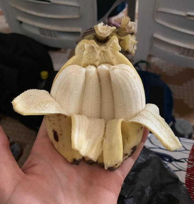 4 minibanán egy héjban.