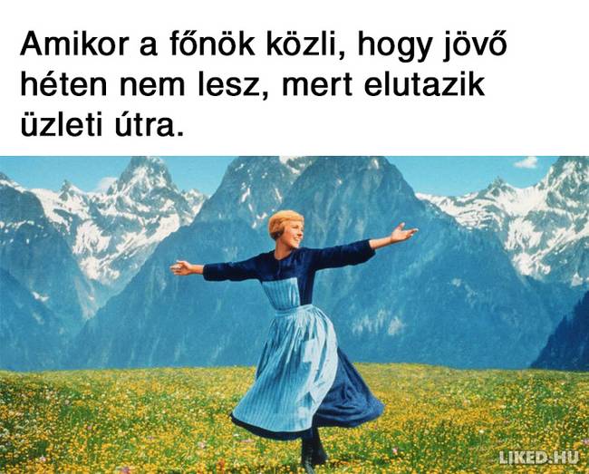 20 vicces mém a főnökökről, amit jobb, ha nem a munkahelyeden nézel meg