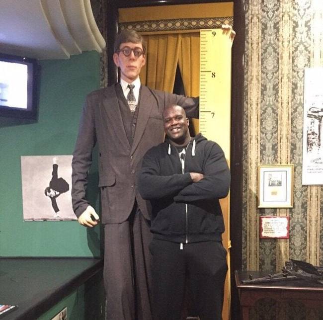 Shaquille O’Neal magassága 216 cm, amivel óriásnak számít a világ legtöbb emberéhez képest, de a történelem valaha élt legmagasabb emberének szobra mellett ő is csak egy kisgyerek.