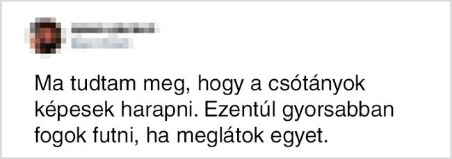 Néha azt hisszük, hogy mindent tudunk erről a világról, de tévedünk.