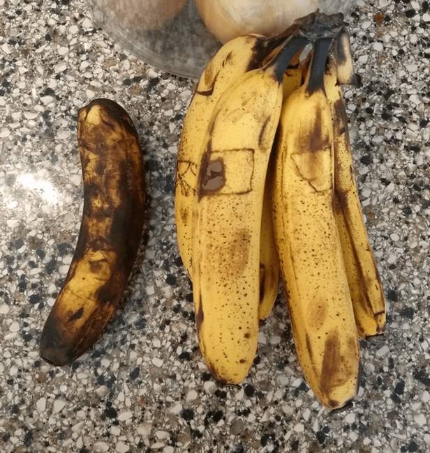 „Elvittem magammal a munkába egy banánt, de nem ettem meg, ezért hazahoztam. Észrevettem, hogy a banán, ami velem töltötte a napot, gyorsabban érett meg, mint a többi banán."