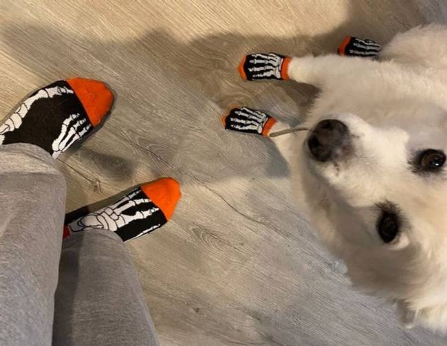 Amikor nemcsak magaddal, hanem a legjobb barátoddal is törődsz.