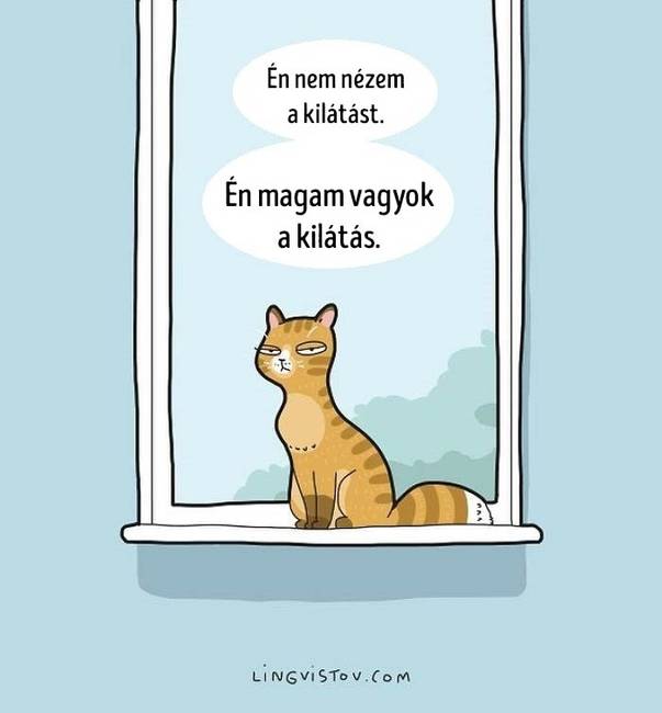 Egyértelmű.