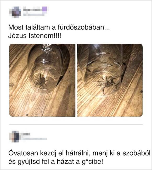 20 vicces hozzászólás, amik láttán azt kívánod, bárcsak Te írtad volna őket