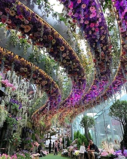 A szingapúri Gardens by the bay parkban több mint 220 ezer különféle növény található a világ minden tájáról.