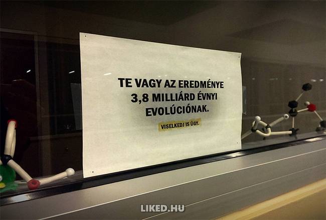 Csak egy biosztanár motiváló üzenete. Nagyon erőteljes...