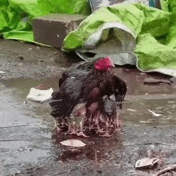 Ezek az anyukák már csak ilyenek.