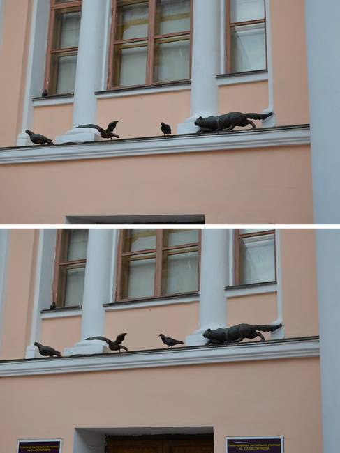 Ez a galamb úgy döntött, hogy ő is mű része szeretne lenni.