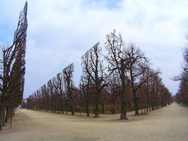 Neem, ez nem egy számítógépes játék rosszul betöltött textúrája, ez egy park Ausztriában.
